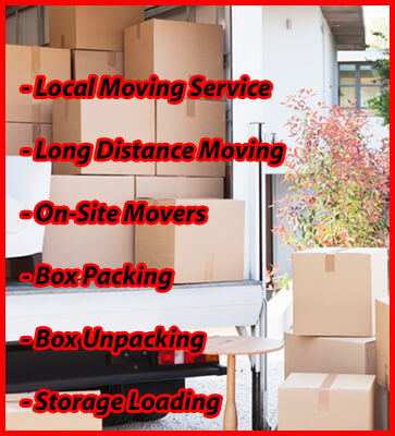 Packers And Movers Noida Sector 25